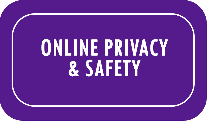 online privacy button